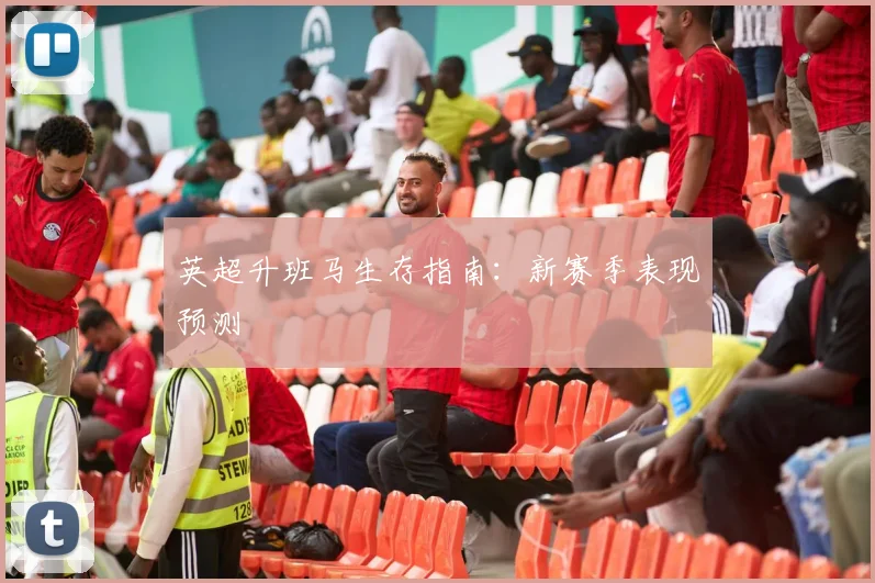 英超升班马生存指南:新赛季表现预测